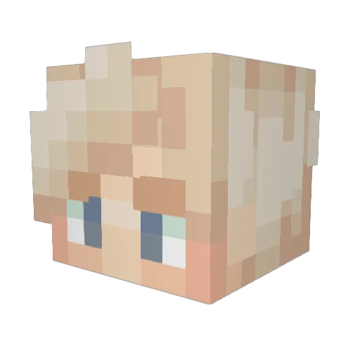 WDFlyer Minecraft avatar head, 3D render