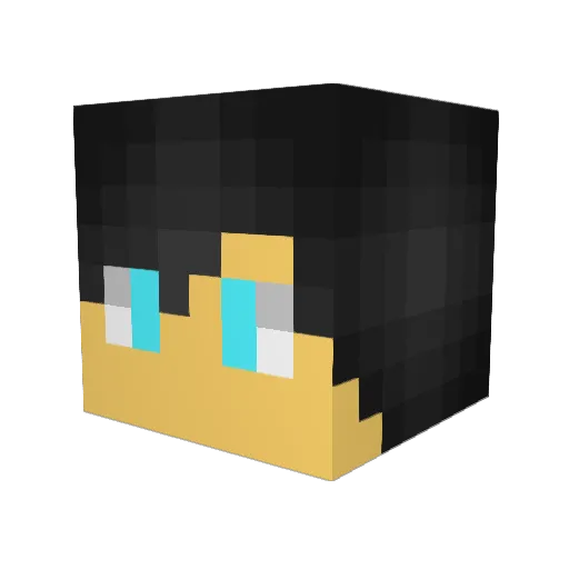 WDR2 Minecraft avatar head, 3D render