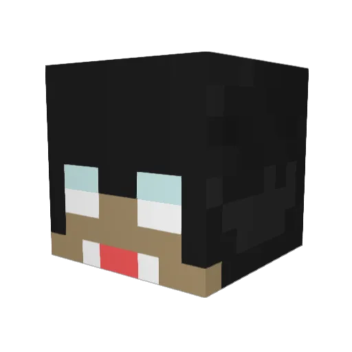 WE8ET Minecraft avatar head, 3D render
