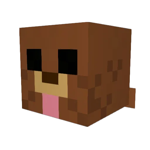 WEBSTER_308 Minecraft avatar head, 3D render