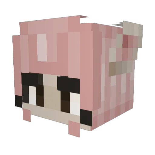 WEEEPOL Minecraft avatar head, 3D render