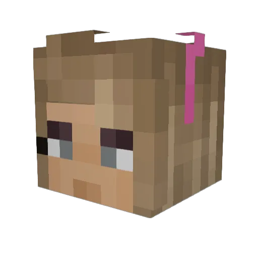 WEENER_GARAGE Minecraft avatar head, 3D render
