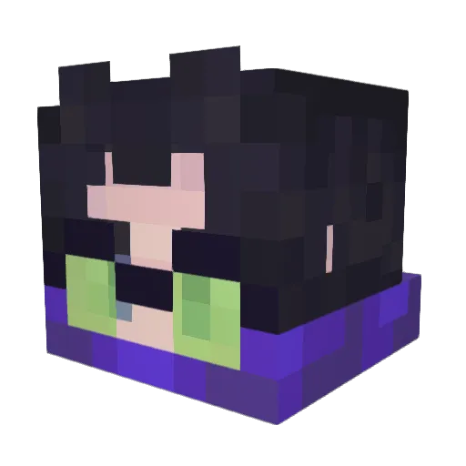 WEGONNADIEANYWAY Minecraft avatar head, 3D render