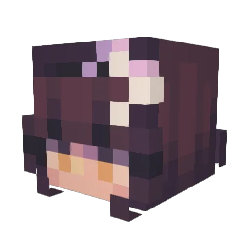WERA8 Minecraft avatar head, 3D render