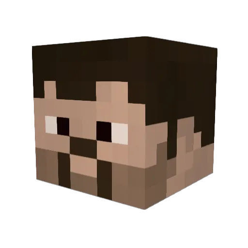 WERGs1 Minecraft avatar head, 3D render