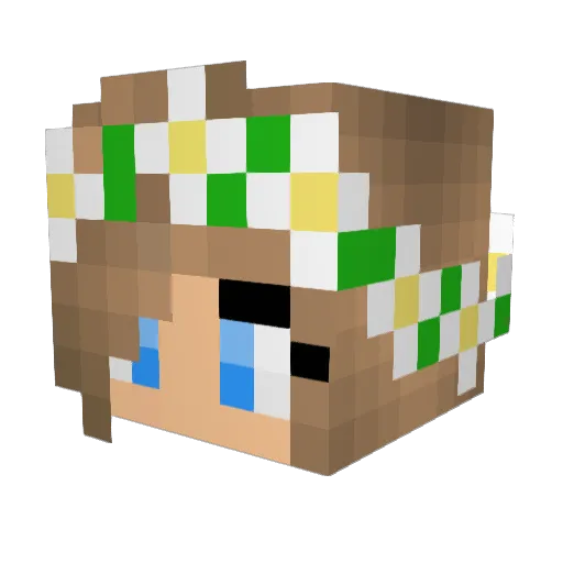 WERT8766 Minecraft avatar head, 3D render