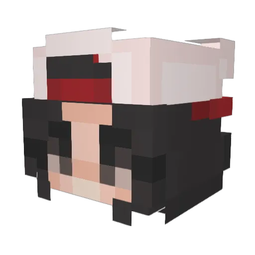 WE_YOUNG Minecraft avatar head, 3D render