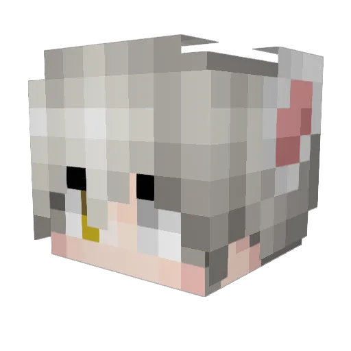 WFCarlos Minecraft avatar head, 3D render