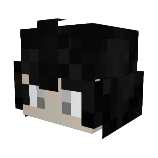 WFG12138 Minecraft avatar head, 3D render
