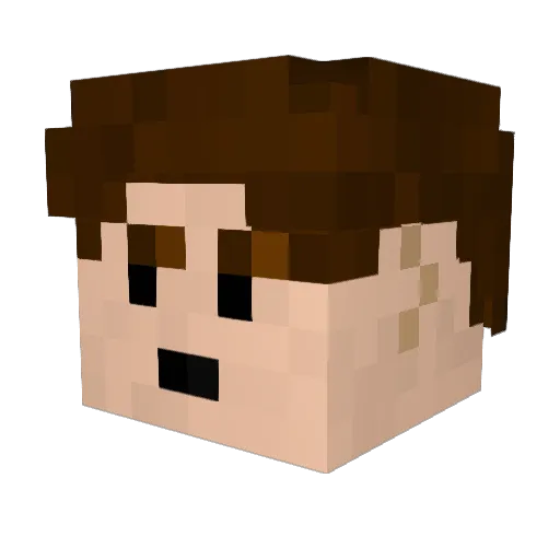 WFGTurtle Minecraft avatar head, 3D render