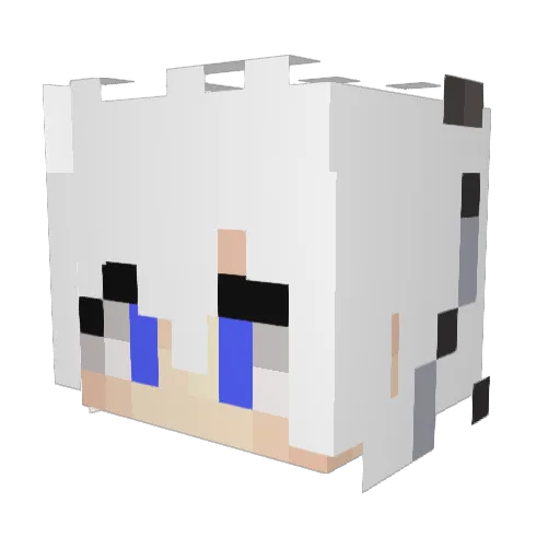 WFJD Minecraft avatar head, 3D render