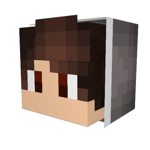 WFLZ_exe Minecraft avatar head, 3D render