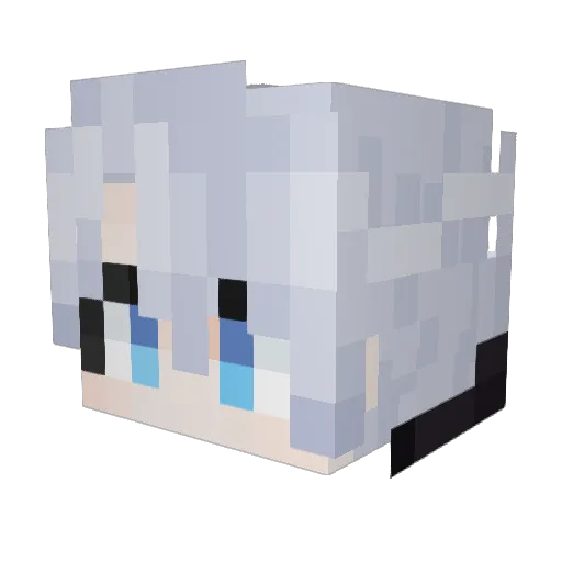 WFNQ Minecraft avatar head, 3D render