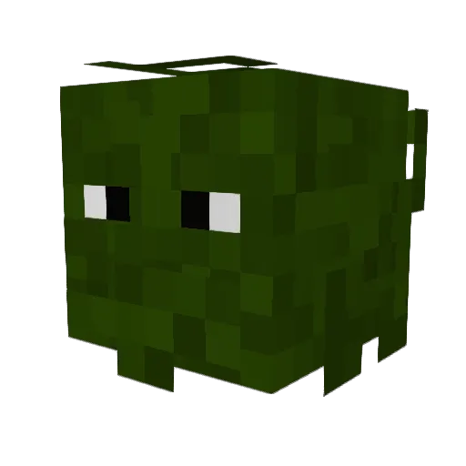 WFight7 Minecraft avatar head, 3D render