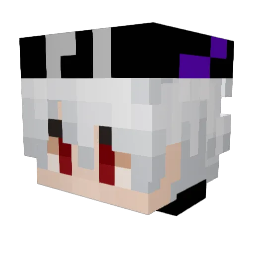 WFxRayZ Minecraft avatar head, 3D render