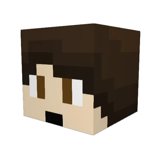 WGCBubbaB Minecraft avatar head, 3D render