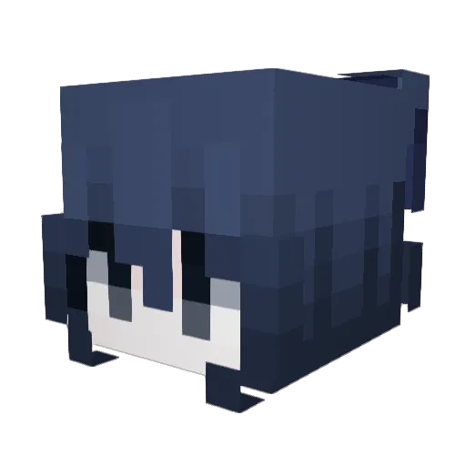 WGNT_2012 Minecraft avatar head, 3D render