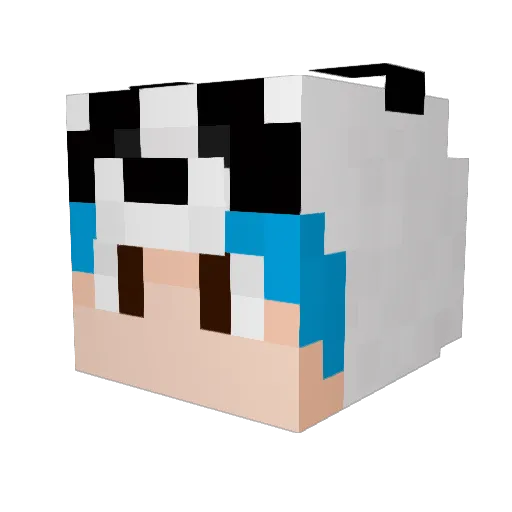 WG_GY Minecraft avatar head, 3D render