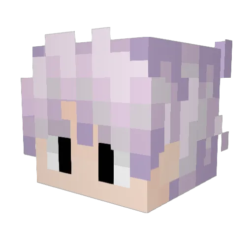 WGymLife Minecraft avatar head, 3D render