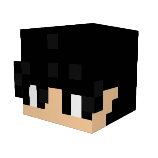 WH0ISTHISGUY Minecraft avatar head, 3D render