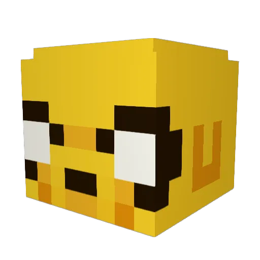 WH1CR17 Minecraft avatar head, 3D render