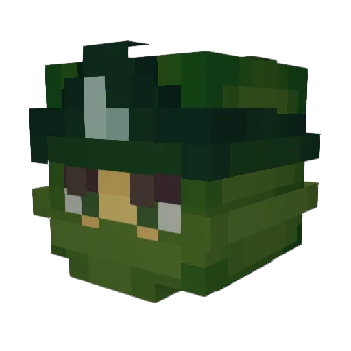 WHALE_PLAYED3 Minecraft avatar head, 3D render