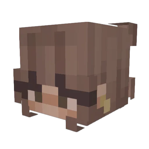WHAMsabi Minecraft avatar head, 3D render