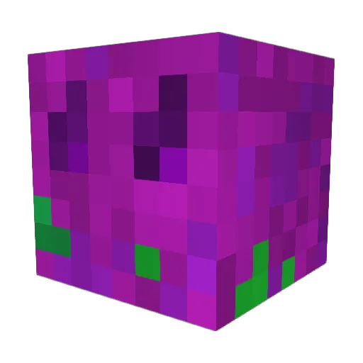 WHATShisNAME96 Minecraft avatar head, 3D render