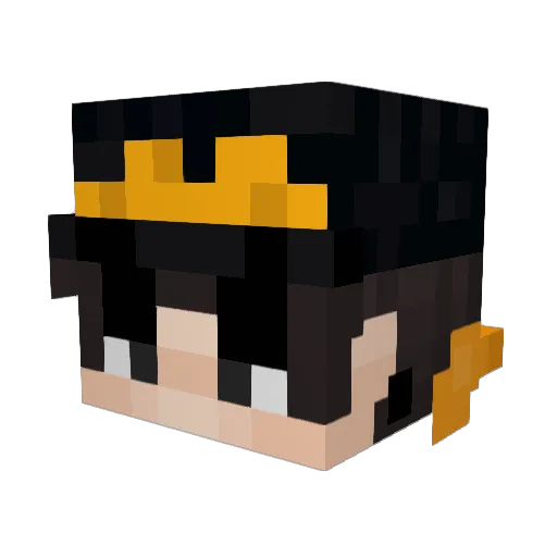 WHITESHARK33 Minecraft avatar head, 3D render