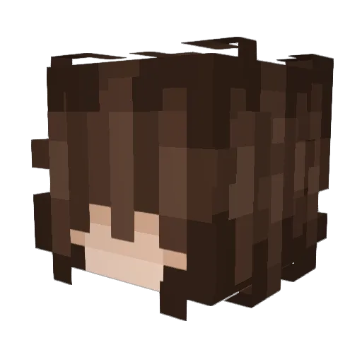 WHO_IS_CLOUD_ Minecraft avatar head, 3D render