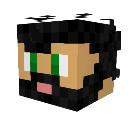 WHO_IS_NAIN Minecraft avatar head, 3D render