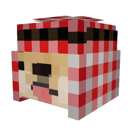 WHXY Minecraft avatar head, 3D render