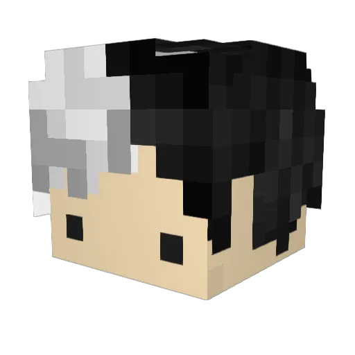 WHYMEBRO22 Minecraft avatar head, 3D render