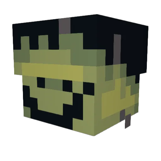 WHeeLs1907 Minecraft avatar head, 3D render