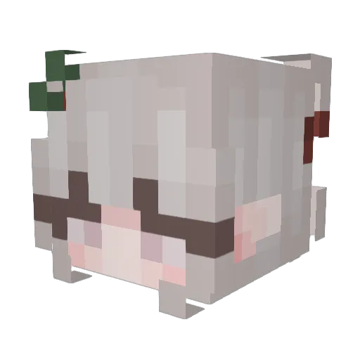 WHsuki223 Minecraft avatar head, 3D render