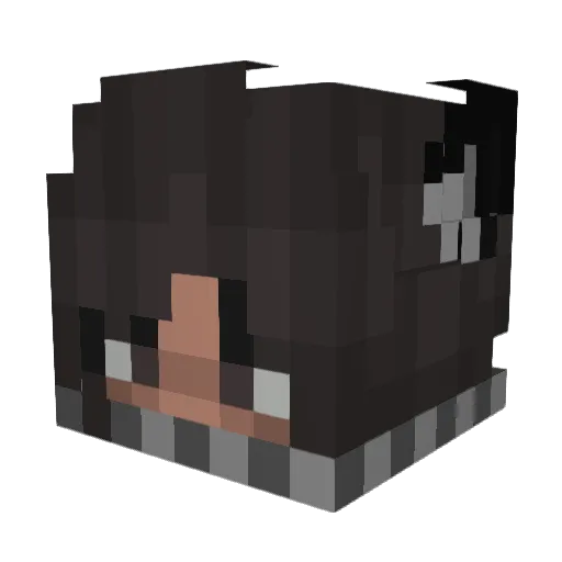 WI0r Minecraft avatar head, 3D render