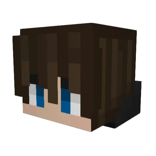 WICTUR Minecraft avatar head, 3D render
