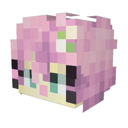WIFIIO Minecraft avatar head, 3D render
