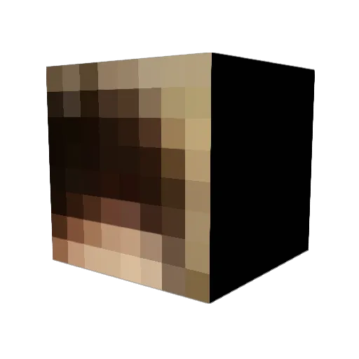 WIIWII69420 Minecraft avatar head, 3D render