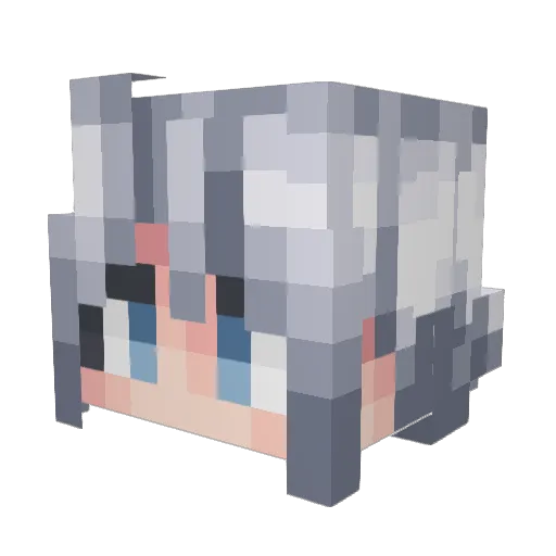 WIIY_ Minecraft avatar head, 3D render