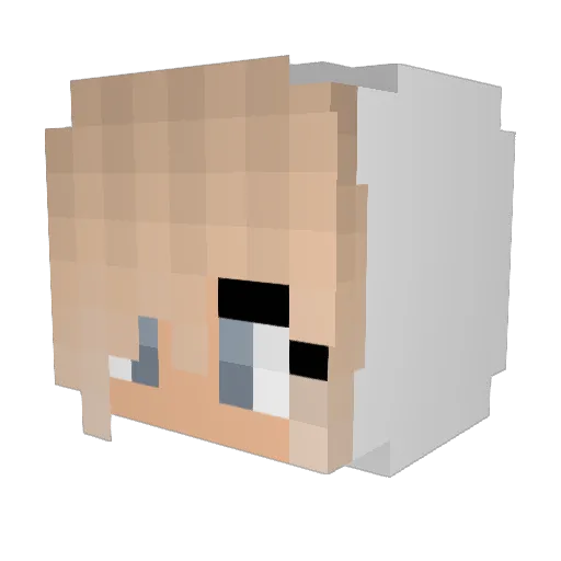 WILDcatPROD_YT Minecraft avatar head, 3D render