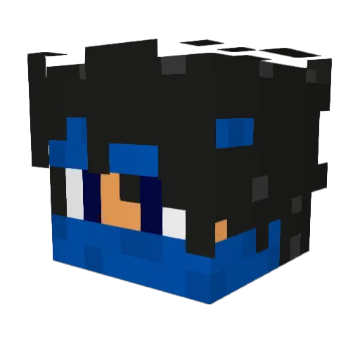 WILI230 Minecraft avatar head, 3D render
