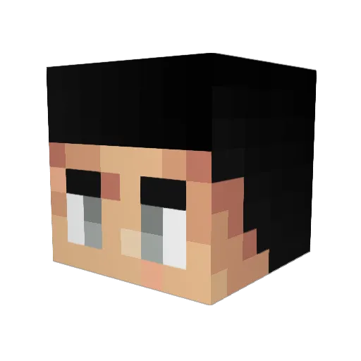 WILLFIghter Minecraft avatar head, 3D render