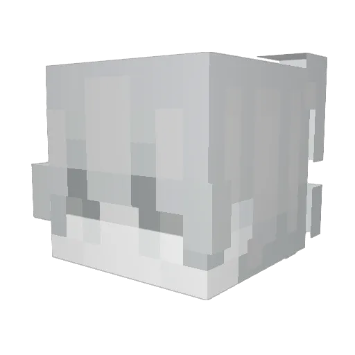WILLIAM1117 Minecraft avatar head, 3D render