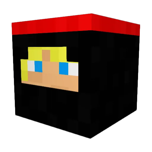 WILLOW_28 Minecraft avatar head, 3D render