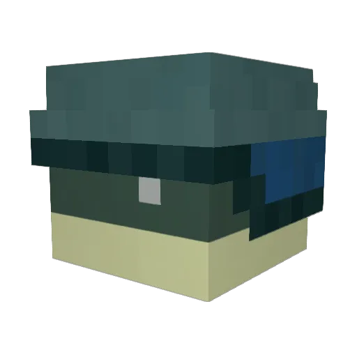 WILLYSILLYYY Minecraft avatar head, 3D render