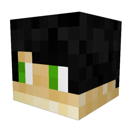 WILPERTTI10 Minecraft avatar head, 3D render