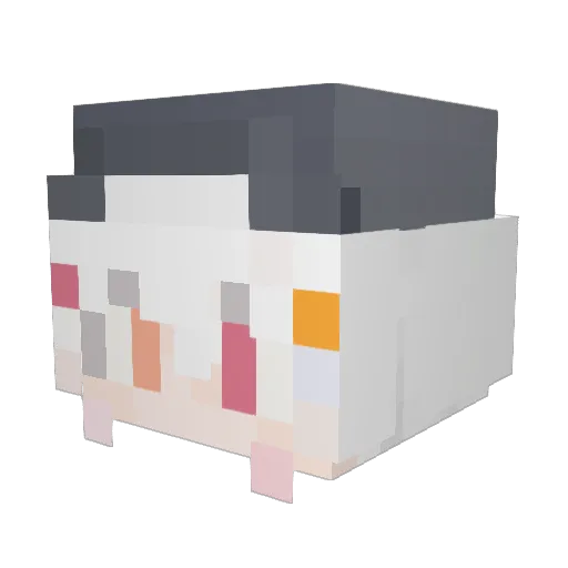 WINDCS Minecraft avatar head, 3D render