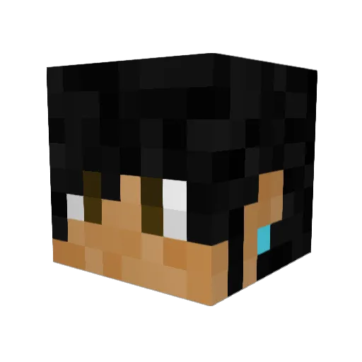 WINGWARS Minecraft avatar head, 3D render