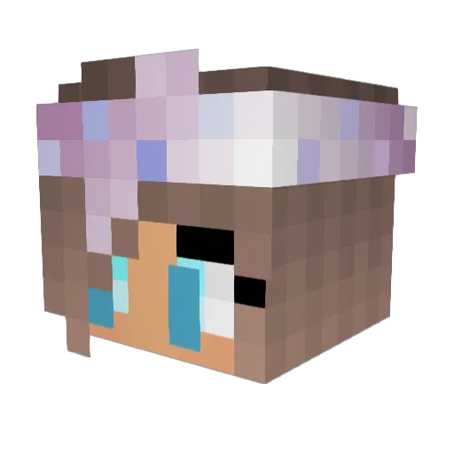 WINNIEg Minecraft avatar head, 3D render
